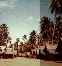 Alagoas 1972, Forschungen von A.A.Bispo